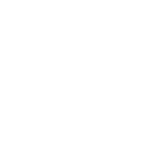 premier-support
