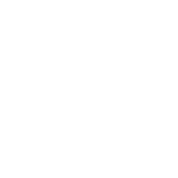 premier-support