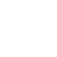 premier-support
