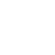 premier-support